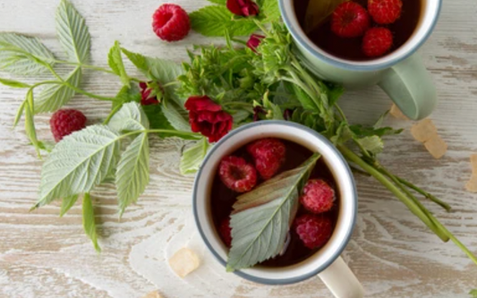 Red Raspberry Leaf Herbal Gummies for Pregnancy &amp; Postpartum