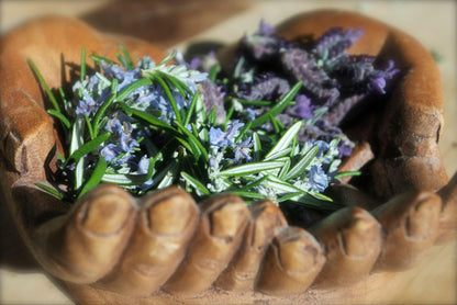 Mother Moon Winter Medicine Chest