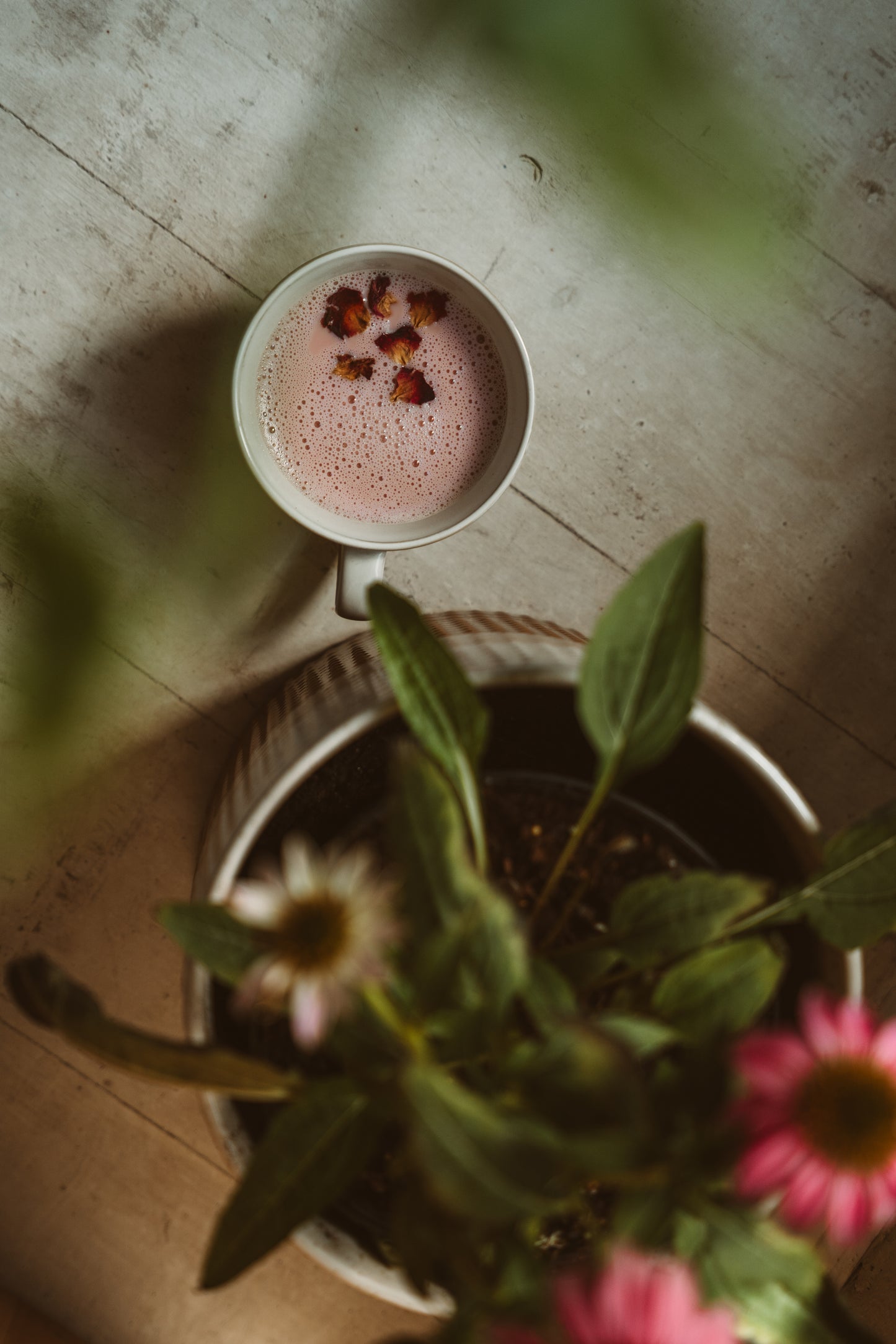 Back-A-Mommy Doula Support