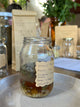 Mother Moon Winter Medicine Chest