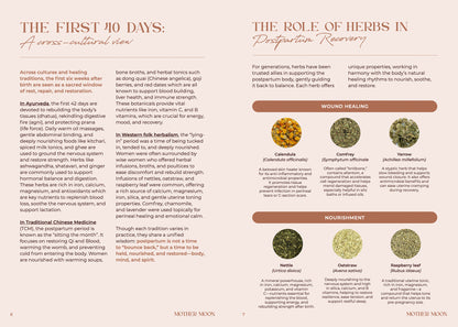 Info about the first 40 days postpartum and the role of herbs in recovery